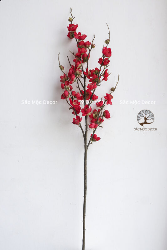 Hoa Đào Màu Đỏ, Trắng, Hồng