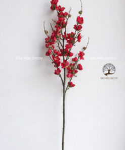Hoa Đào Màu Đỏ, Trắng, Hồng