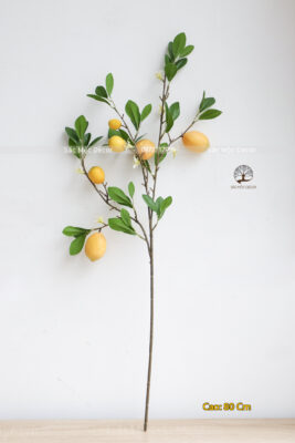 Cành Chanh Mỹ Giả 80cm