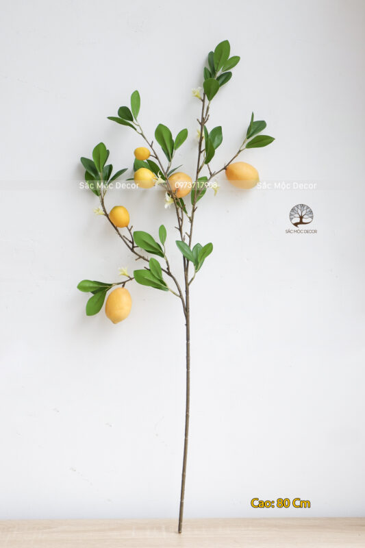 Cành Chanh Mỹ Giả 80cm