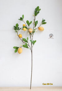 Cành Chanh Mỹ Giả 80cm