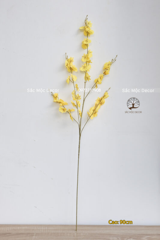 Cành Lan Vũ Nữ 90cm