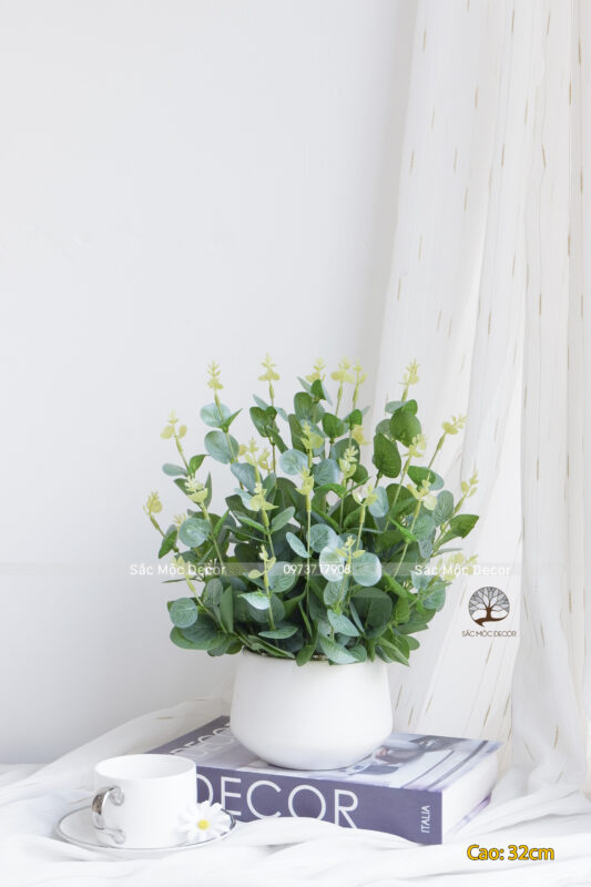 Cây Dolar Giả Để Bàn 32cm