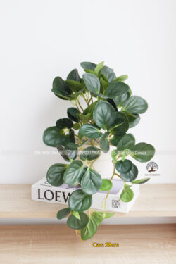 Cây Lá Rũ Mini 03