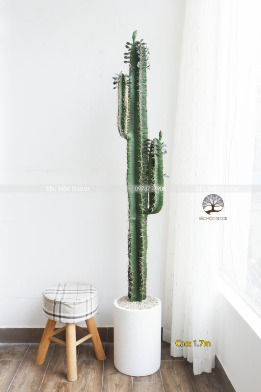 Cây Xương Rồng Giả Cao 1.7m