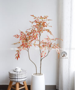 Cây Nam Thiên Trúc Cam Giả Cao 1,3m