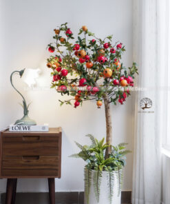 Cây Lựu Giả Cao 1.35m