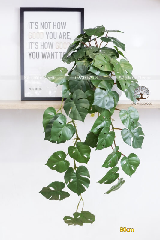 Chậu Trầu Bà Leo Giả 80cm