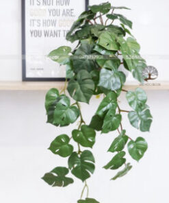 Chậu Trầu Bà Leo Giả 80cm