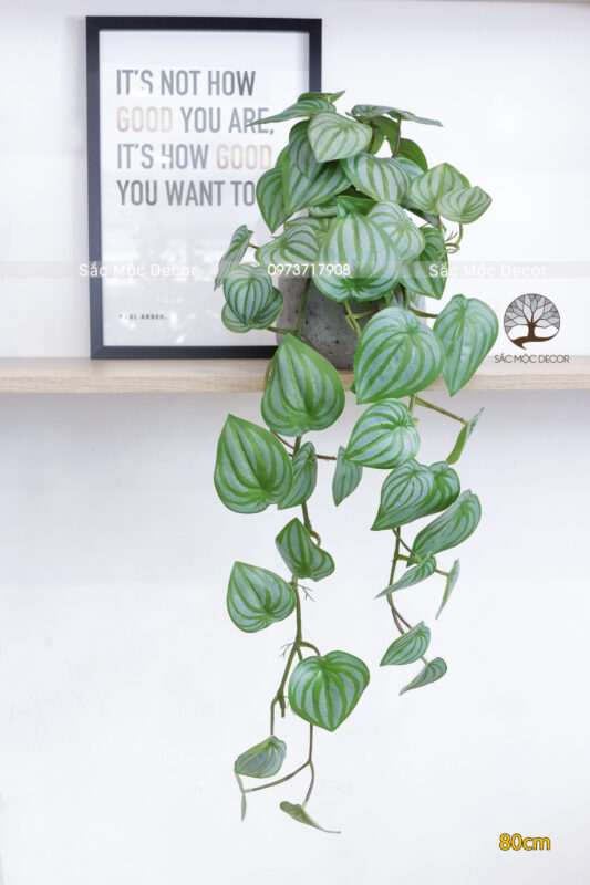 Chậu Lá Dưa Hấu Leo Giả 80cm