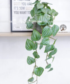 Chậu Lá Dưa Hấu Leo Giả 80cm