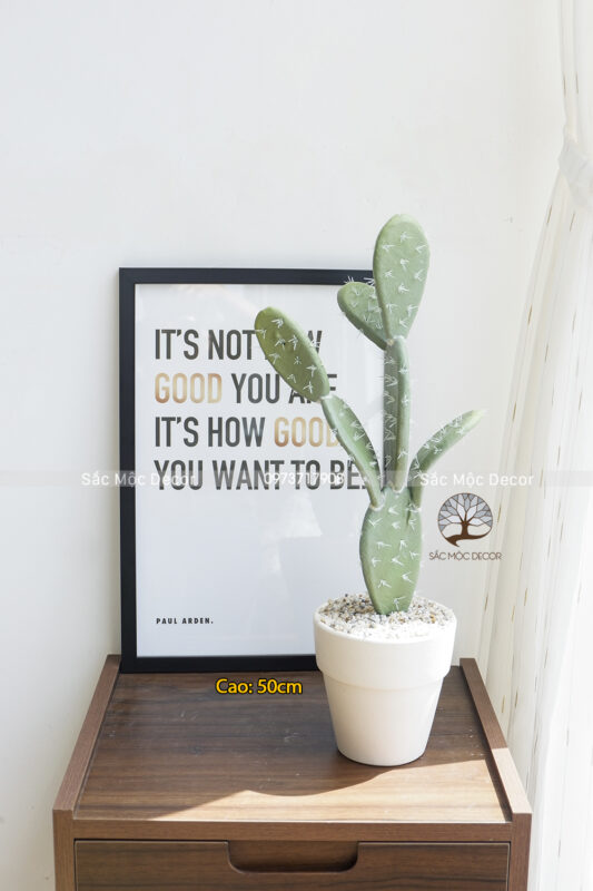 Cây Xương Rồng Tai Thỏ Giả Để Bàn Cao 50cm