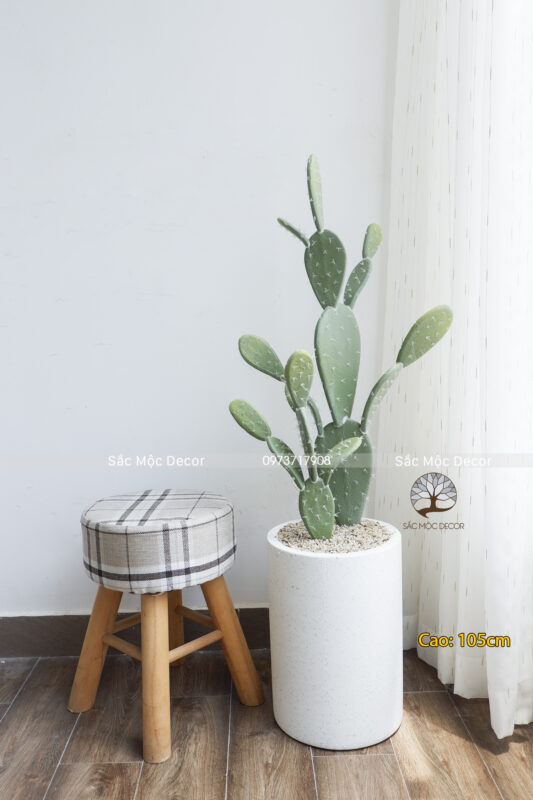 Cây Xương Rồng Tai Thỏ Giả Cao 105cm