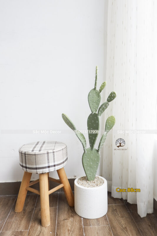 Cây Xương Rồng Tai Thỏ Giả Cao 88cm