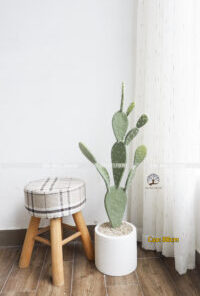 Cây Xương Rồng Tai Thỏ Giả Cao 88cm