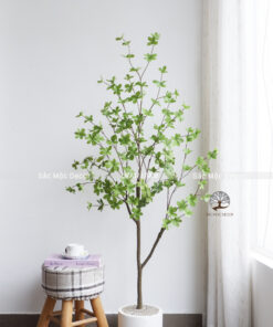 Cây Thạch Nam Giả 1.4m