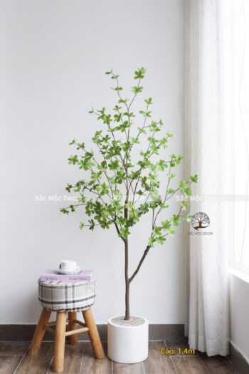 Cây Thạch Nam Giả 1.4m