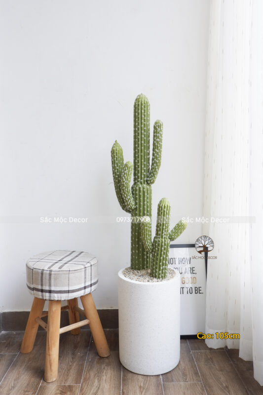 Cây Xương Rồng Tay Giả Cao 105cm Size M
