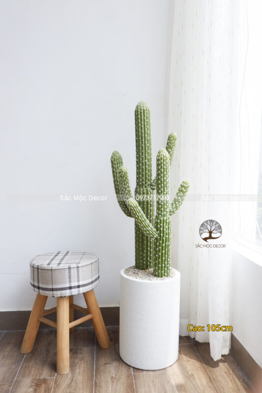Cây Xương Rồng Tay Giả Cao 105cm Size L