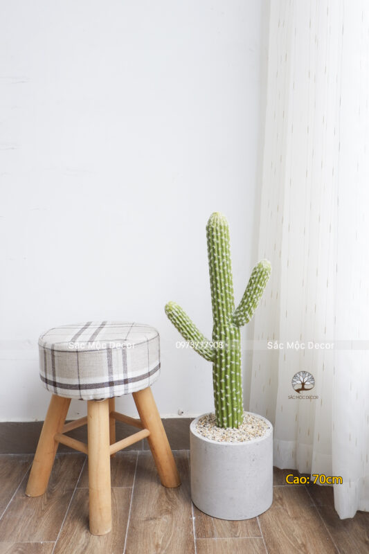 Cây Xương Rồng Tay Giả Cao 70cm Đơn