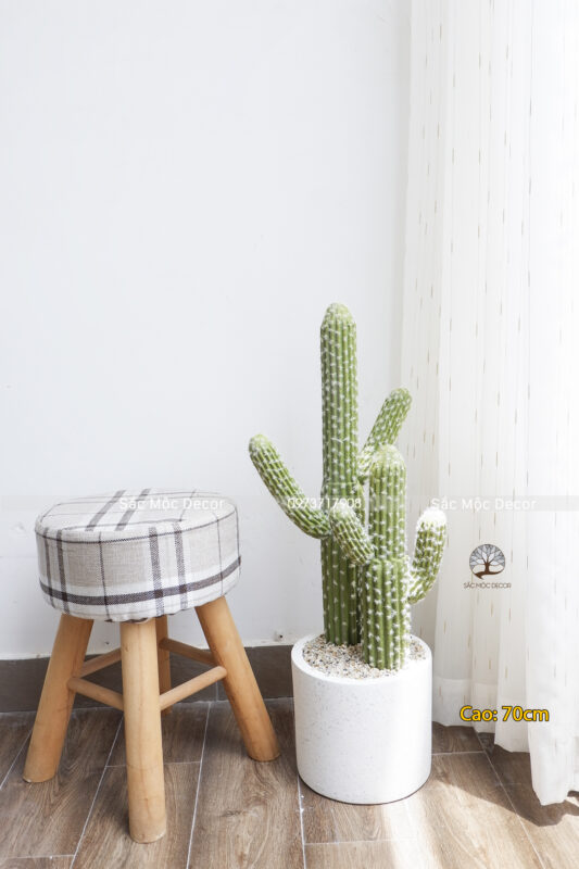 Cây Xương Rồng Tay Giả Cao 70 cm Size S