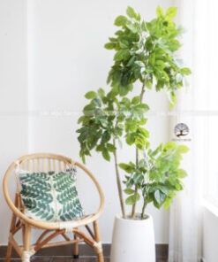 Cây Hạnh Phúc Giả Cao 1.6m