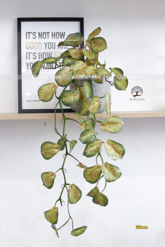 Chậu Trầu Bà Vàng Leo Giả 80cm