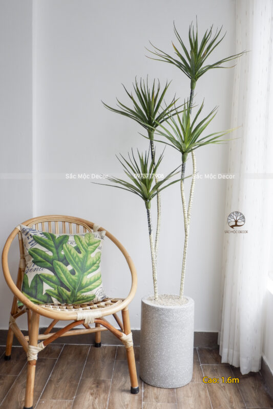 Cây Phất Dụ Rồng Giả Cao 1.6m