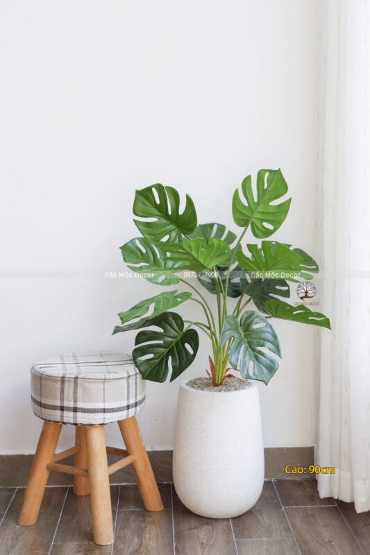 Cây Trầu Bà Lá Xẻ Giả Cao 90cm