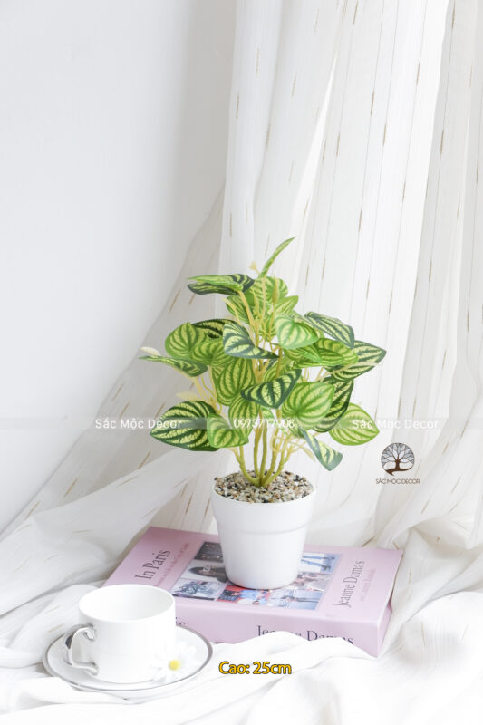Cây Lá Sọc Vàng Giả Cao 25cm