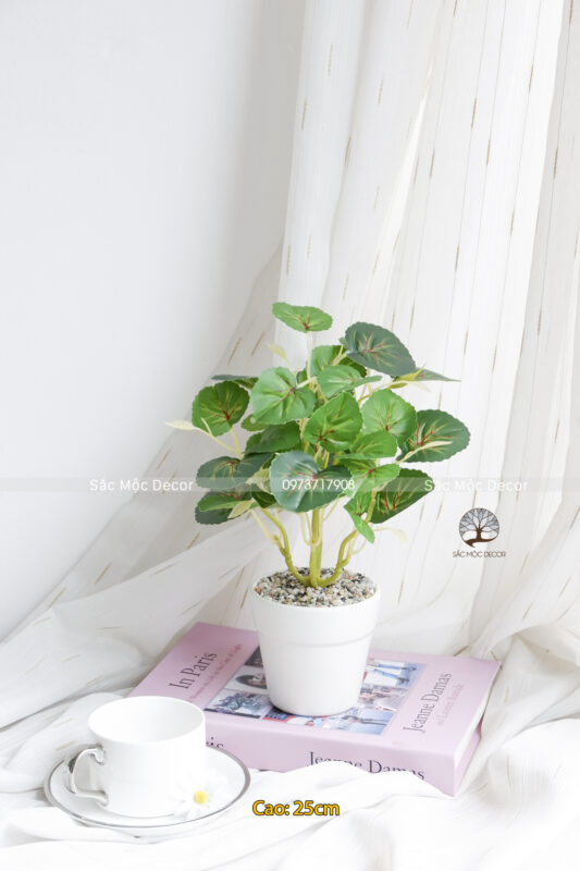 Cây Lá Táo Giả Cao 25cm