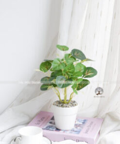 Cây Lá Táo Giả Cao 25cm