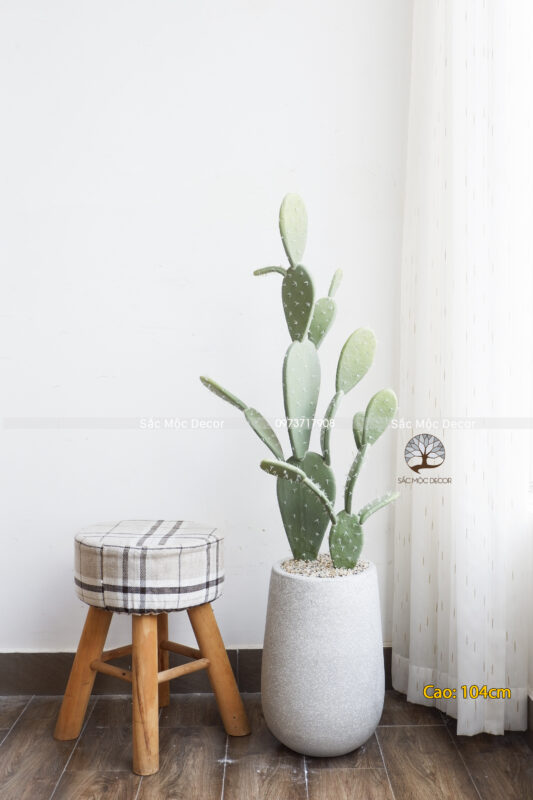 Cây Xương Rồng Tai Thỏ Giả Cao 104cm