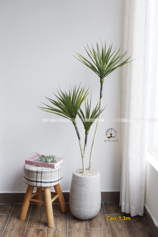 Cây Phất Dụ Rồng Giả Cao 1.3m