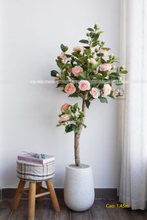 Cây Hoa Trà Cam Giả Cao 1,45m