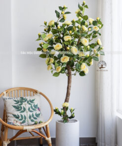 Cây Hoa Trà Vàng Giả Cao 1,65m