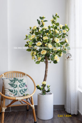 Cây Hoa Trà Vàng Giả Cao 1,65m