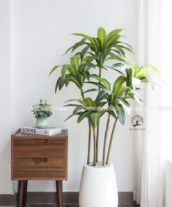 Cây Phát Tài Hoàng Kim Giả Cao 1,4m