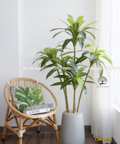 Cây Phát Tài Hoàng Kim Giả Cao 1,5m
