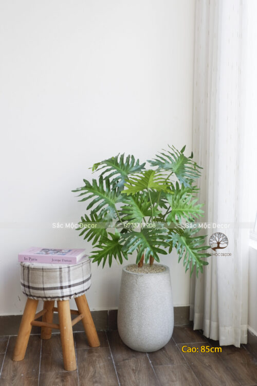 Cây Trầu Bà Thanh Xuân Giả Cao 85cm