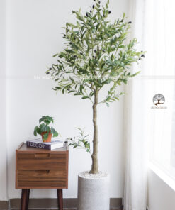 Cây Ôliu Giả Cao 1.7m