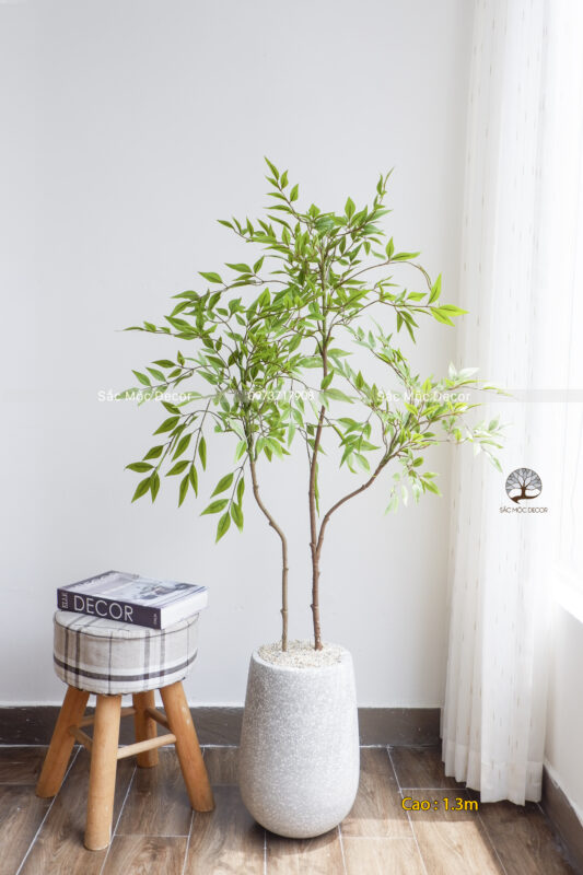 Cây Nam Thiên Trúc  Giả Cao 1,3m