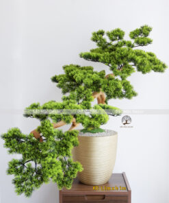 Cây Tùng Bonsai Giả 1m