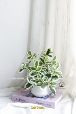 Chậu Cẩm Thạch Giả Để Bàn Cao 24cm
