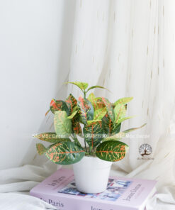 Chậu Sọc vàng Giả Để Bàn Cao 22cm