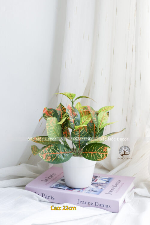 Chậu Sọc vàng Giả Để Bàn Cao 22cm