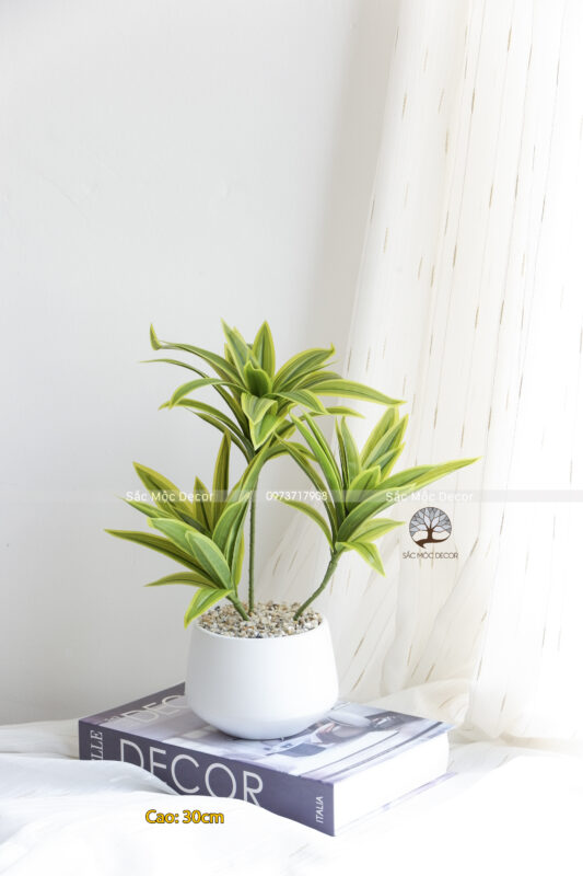Cây Thủy Trúc Giả Để Bàn 30cm