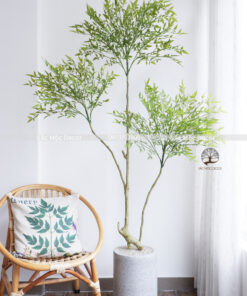 Cây Nam Thiên Trúc  Giả Cao 1,8m