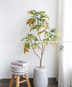 Cây Sơn Mài Giả 1,2m