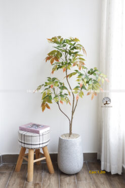 Cây Sơn Mài Giả 1,2m